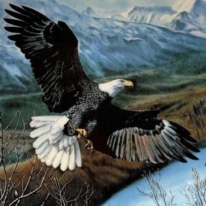 Bald Eagle 1991 W S George Fine China Charles Frace Freedom Soaring Majesty COA